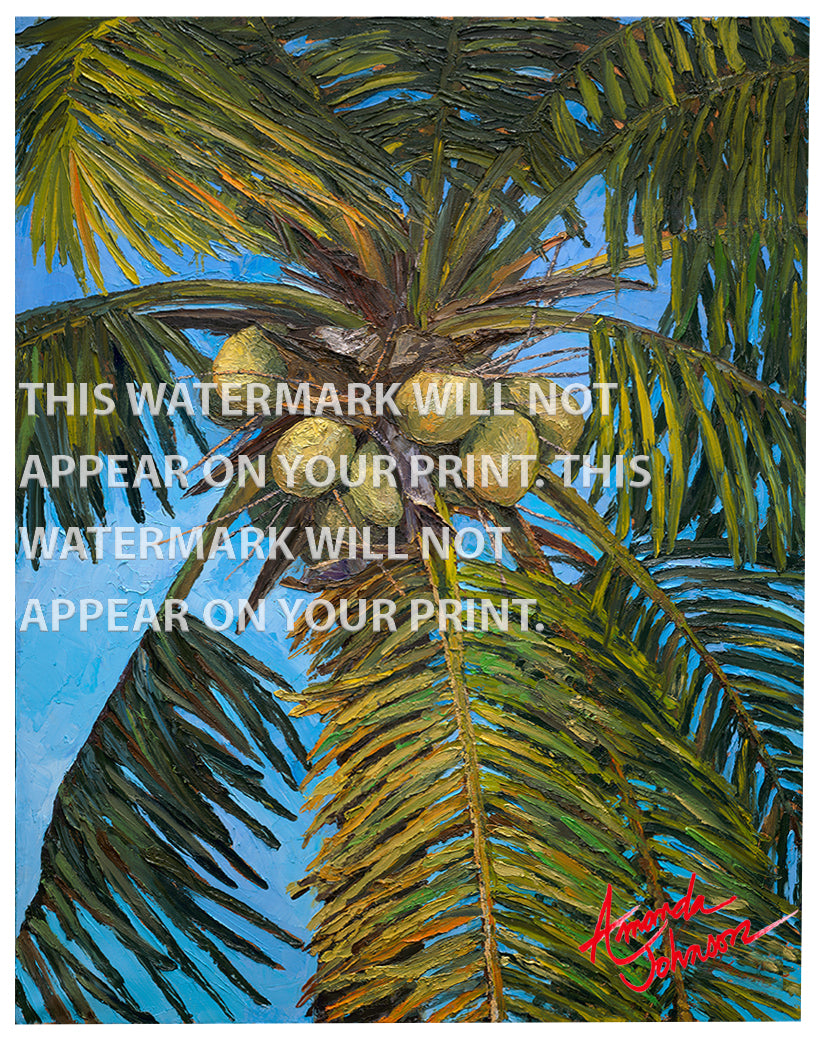 Coconuts - Signed Archival Paper Print