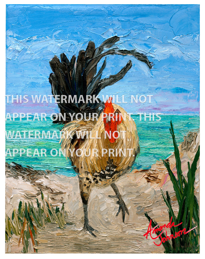 Dune Rooster - Signed Archival Paper Print