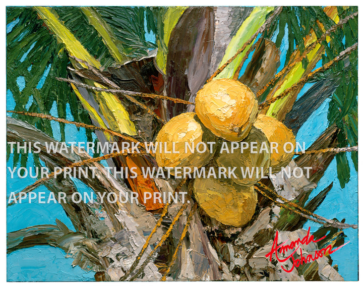 Perfect Coconut - Signed Archival Paper Print