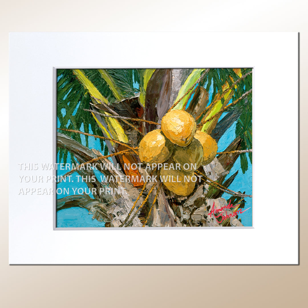 Perfect Coconut - Signed Archival Paper Print