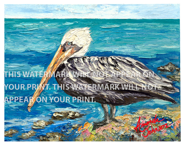 Precious Pelican - Signed Archival Paper Print