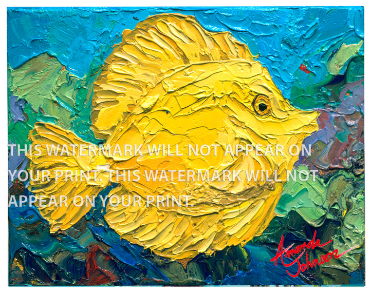Yellow Tang - Signed Archival Paper Print