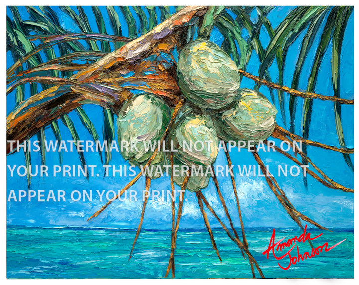 Coconut Horizon - Signed Archival Paper Print
