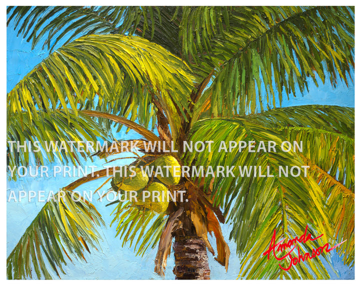 Coconut Palm - Signed Archival Paper Print