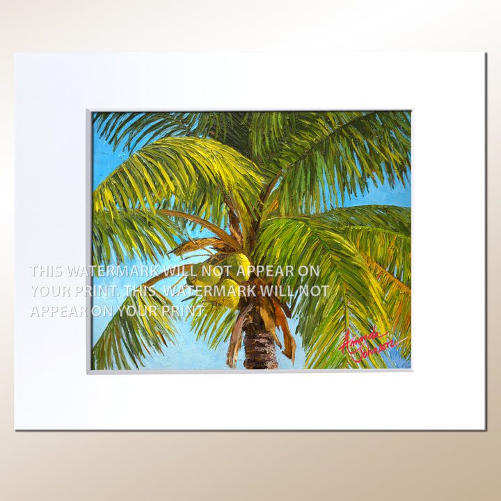 Coconut Palm - Signed Archival Paper Print