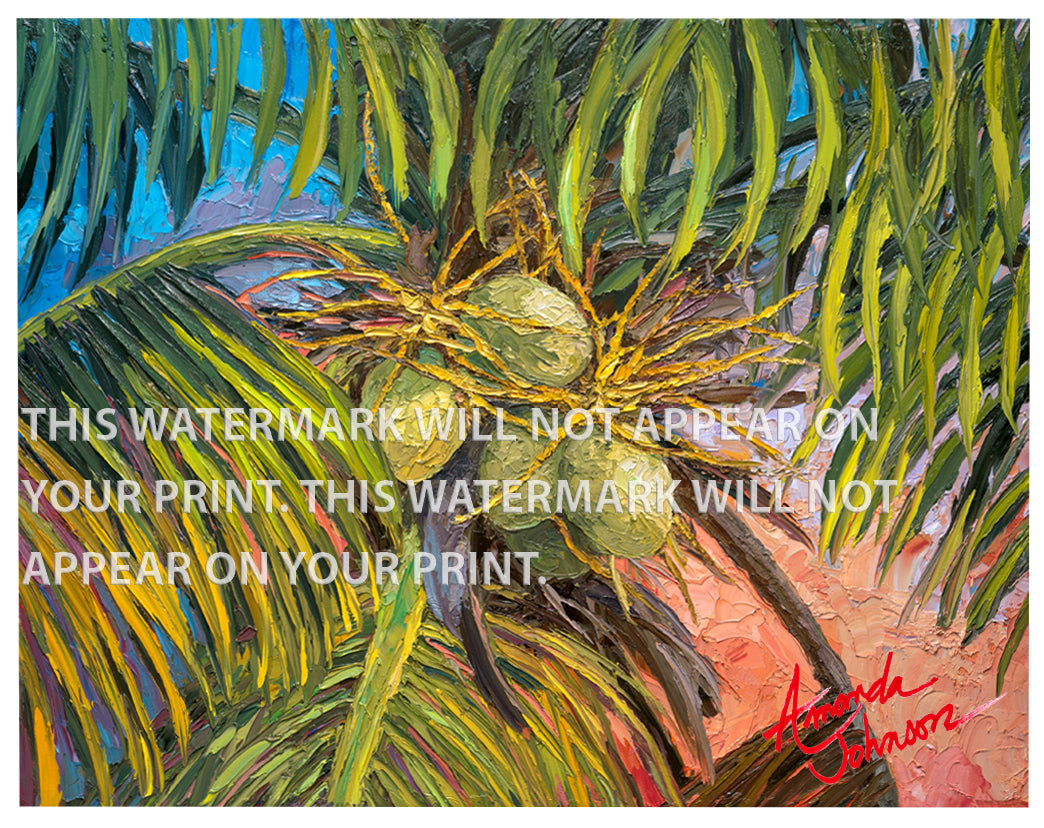 Evening Light - Signed Archival Paper Print