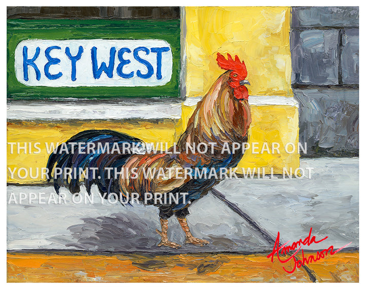 Key West Rooster - Signed Archival Paper Print