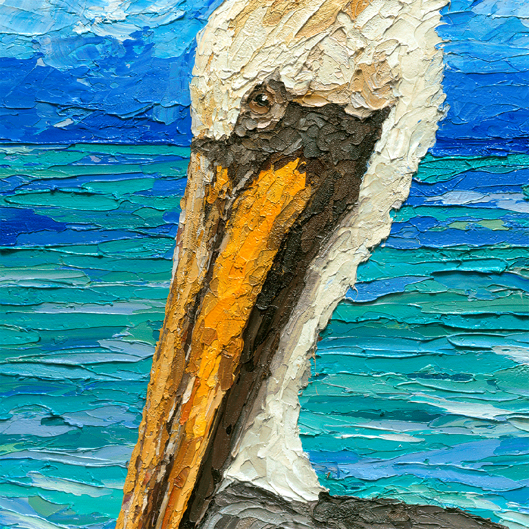 Sea Basin Pelican – LE Giclee On Canvas