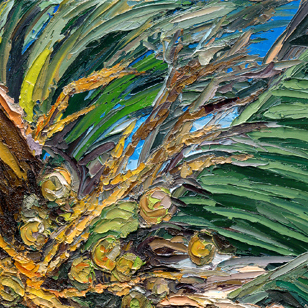 Balanced Coconuts – LE Embellished Giclee On Canvas