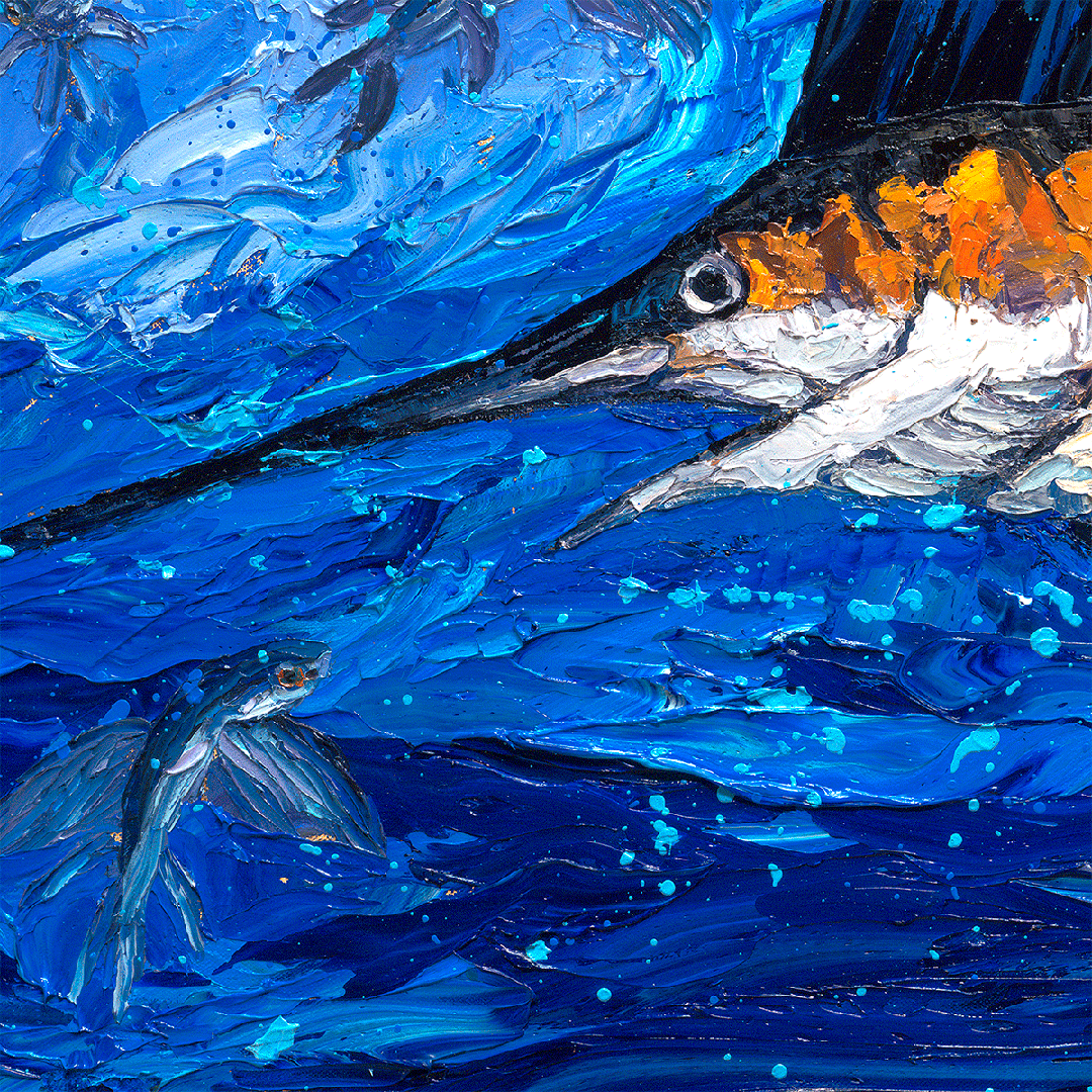 Hungry Sailfish – LE Embellished Giclee On Canvas