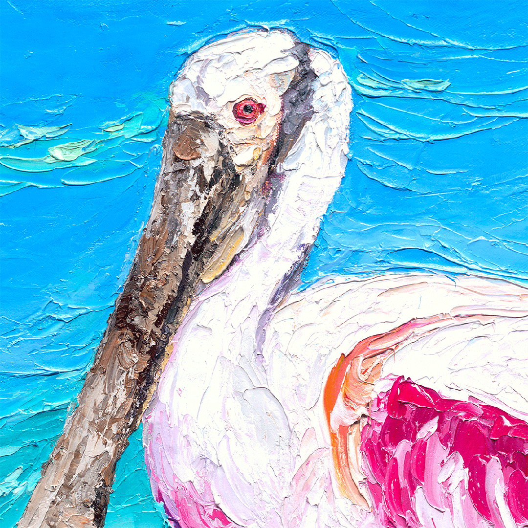 Roseate Spoonbill – LE Embellish Giclee On Canvas