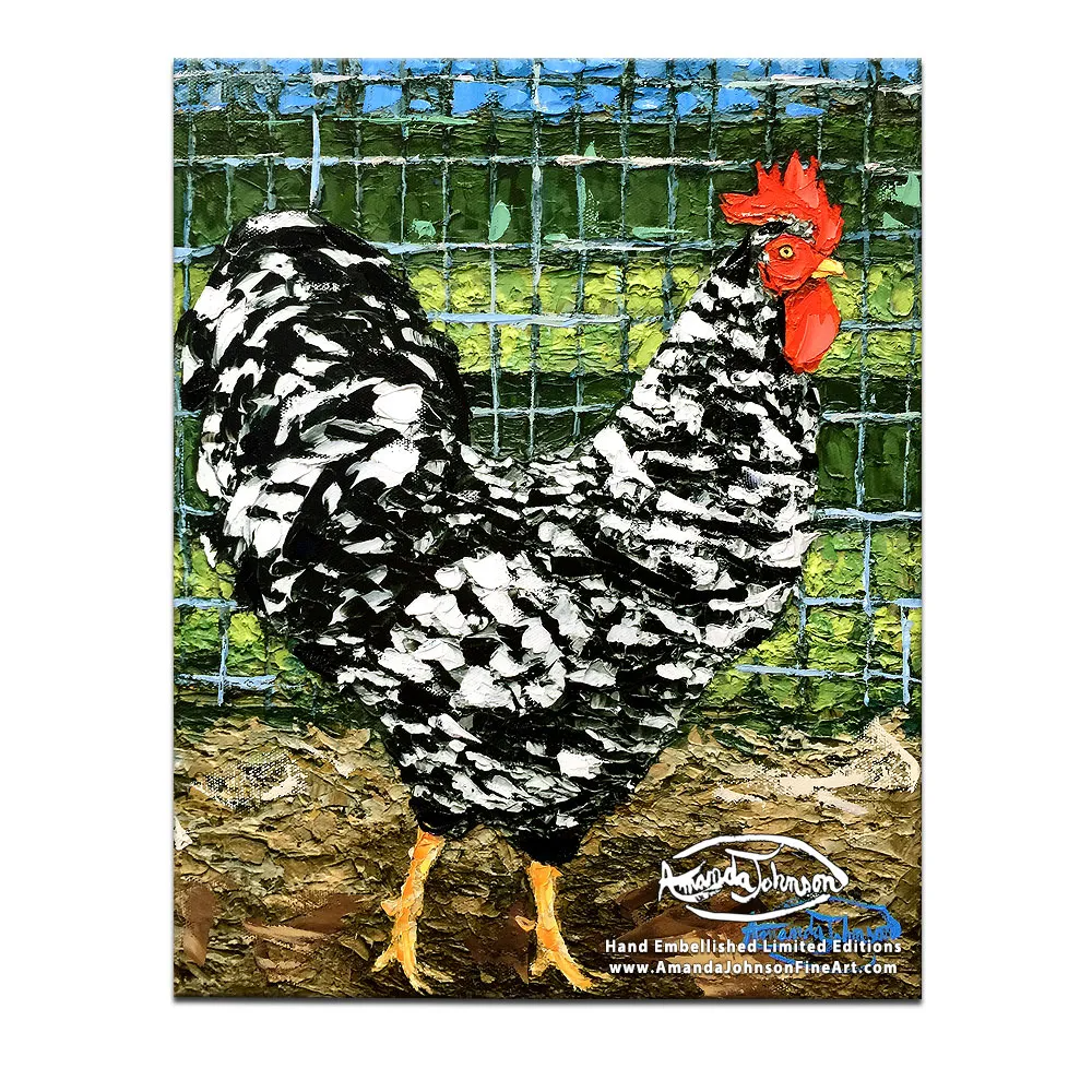 Barred Rock Rooster – LE Embellished Giclee On Canvas